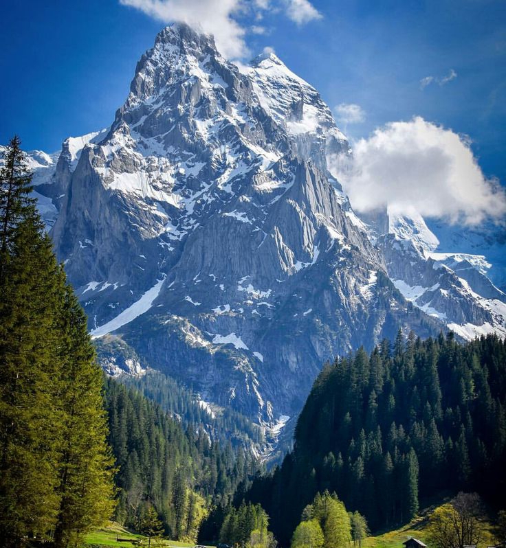 Enjoy the Beauty of the Grand Mecidiye Mosque
